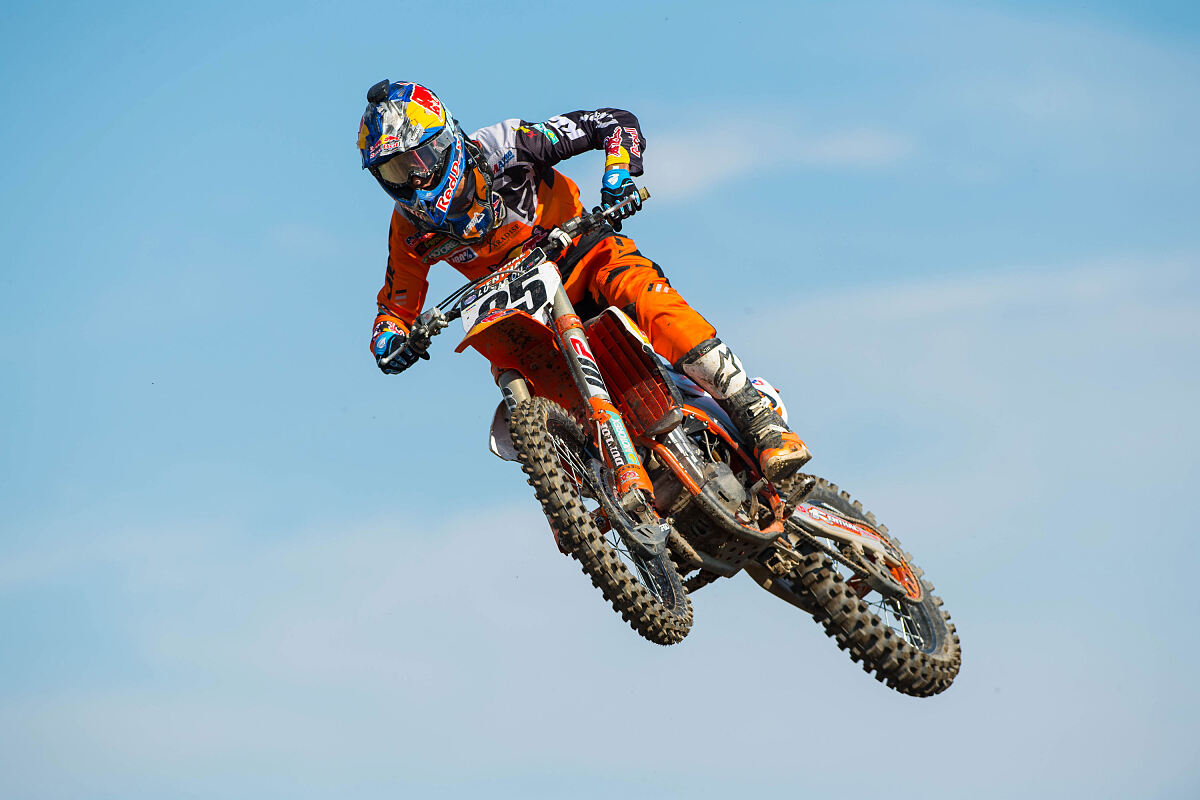 Simon-Cudby_Musquin-Action