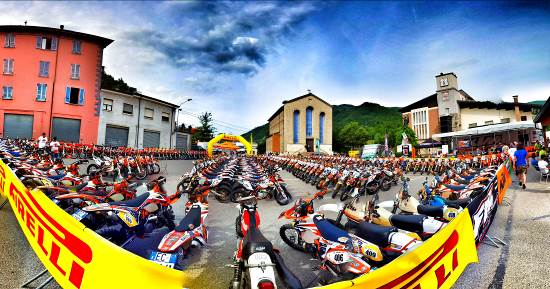 PADDOCK