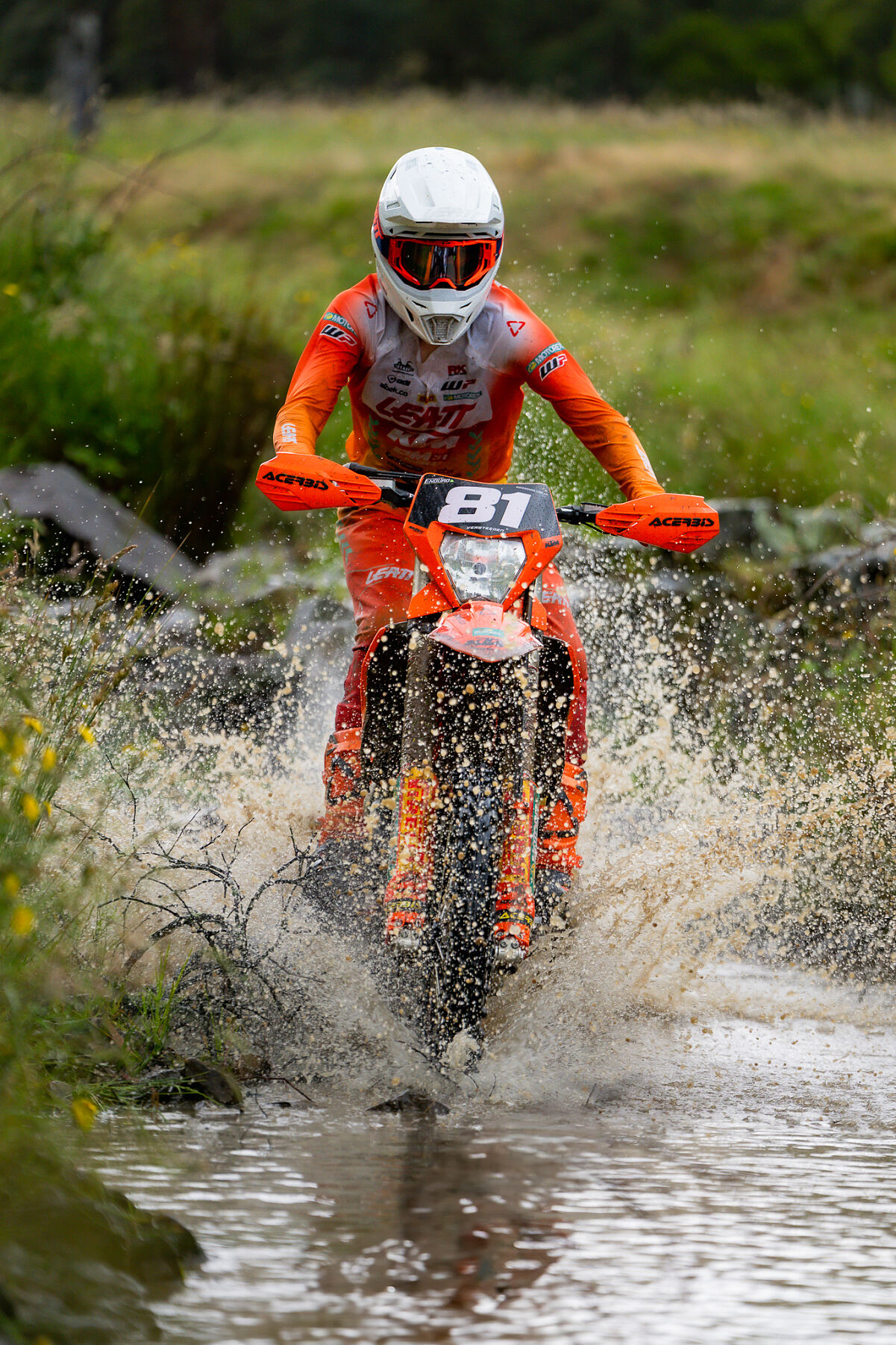 JACKSON VERSTEEGEN 03 - KTM DM31 RACING TEAM