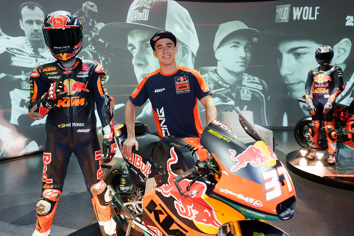 Pedro Acosta - Meet & Reveal 